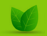 Green Manfacturing